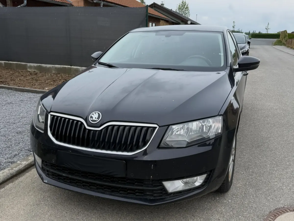 Čištění interiéru Octavia III · Zárubice (okres Třebíč) (1)